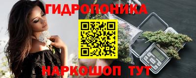 индика Нягань
