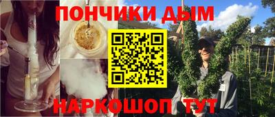 шишки Обь