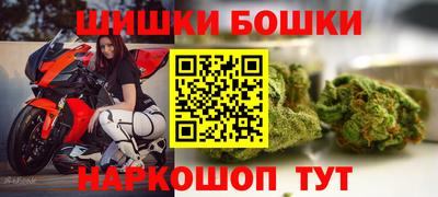 индика Нягань