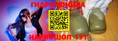 шишки Обь