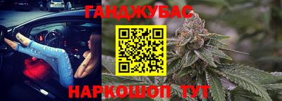 шишки Обь