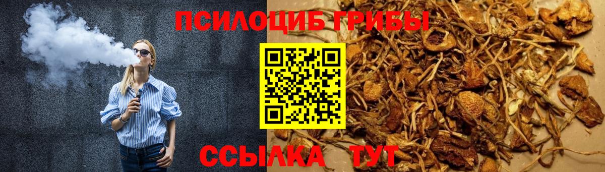 Псилоцибиновые грибы Cubensis  Вход с VPN  Рассказово 