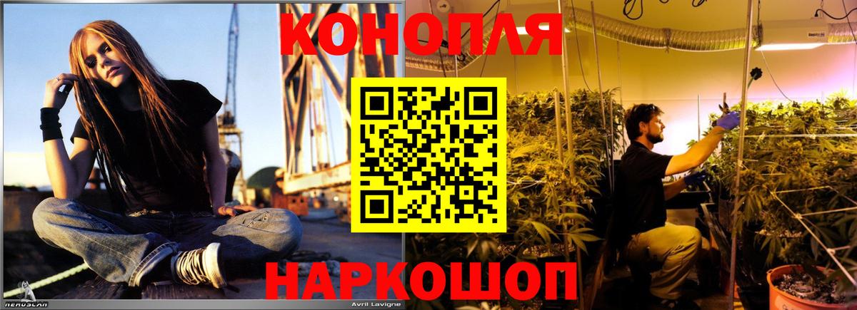 Рассказово  Шишки марихуана планчик  Вход с VPN  МАРИХУАНА LSD WEED 